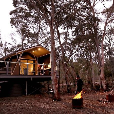 Wallabies Rest Ben Bullen Exterior photo