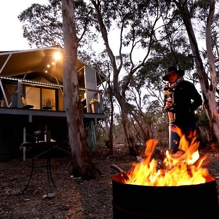 Wallabies Rest Ben Bullen Exterior photo