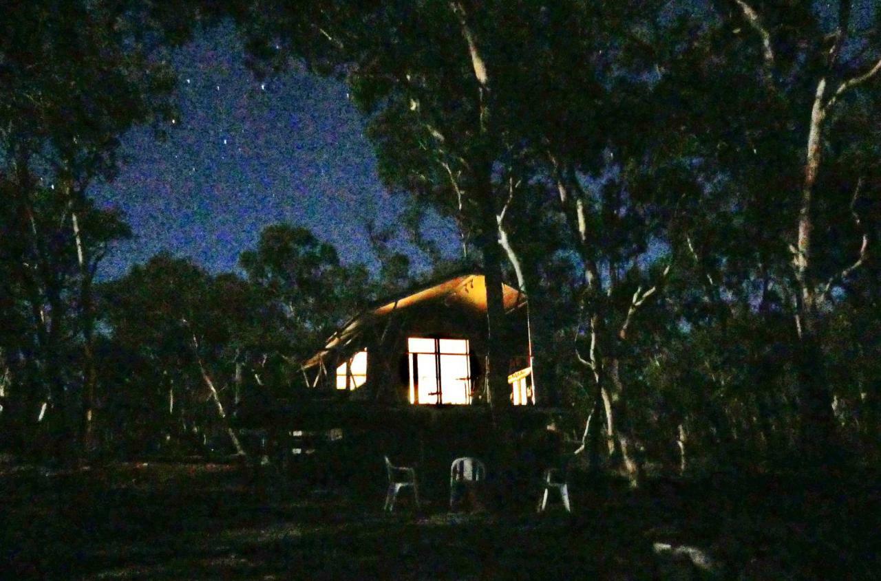 Wallabies Rest Ben Bullen Exterior photo